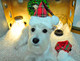 Миниатюра изображения товара Шапка для животных Puppia Santa / PDDF-SH23-CR-M (красная клетка)