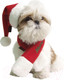 Миниатюра изображения товара Шапка для животных Puppia Santa / PDDF-SH23-RD-XL (красный)