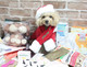 Миниатюра изображения товара Шапка для животных Puppia Santa / PDDF-SH23-RD-XL (красный)