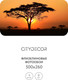 Миниатюра изображения товара Фотообои листовые Citydecor Природа 94 (500x260см)