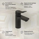 Миниатюра изображения товара Смеситель AM.PM F88A02122 (черный)