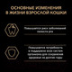Миниатюра изображения товара Сухой корм для кошек Pro Plan Adult с курицей (3кг)