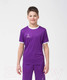 Миниатюра изображения товара Футболка игровая футбольная Jogel Camp Origin Jersey / JFT-1020-K (YS, фиолетовый/белый)