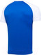 Миниатюра изображения товара Футболка игровая футбольная Jogel Camp Reglan Jersey / JFT-1021-K (YM, синий/белый)