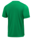 Миниатюра изображения товара Футболка игровая футбольная Jogel Division PerFormDRY Union Jersey (S, зеленый)