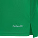 Миниатюра изображения товара Футболка игровая футбольная Jogel Division PerFormDRY Union Jersey (XL, зеленый)