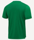 Миниатюра изображения товара Футболка игровая футбольная Jogel Division PerFormDRY Union Jersey (XXL, зеленый)