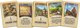 Миниатюра изображения товара Настольная игра Мир Хобби Catan. Колонизаторы / 915853