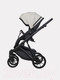Миниатюра изображения товара Детская универсальная коляска Riko Montana Ecco 2 в 1  (31, Light Silver/Black)