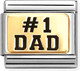 Миниатюра изображения товара Звено для браслета NominatioN №1 Dad 030166/39