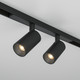 Миниатюра изображения товара Трековый светильник Maytoni TR176-1-2X5WTW-M-B