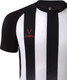 Миниатюра изображения товара Футболка игровая футбольная Jogel Camp Striped Jersey JC1ST0121.00 (XXL, белый/черный)