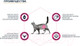 Миниатюра изображения товара Сухой корм для кошек Advance VetDiet Urinary с курицей (3кг)