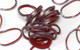 Миниатюра изображения товара Набор для плетения Rainbow Loom Набор резинок / BW0062 (красный)
