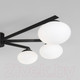 Миниатюра изображения товара Люстра Евросвет 70220/6 (черный)