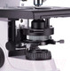 Миниатюра изображения товара Микроскоп цифровой Magus Bio D250TL / 83010