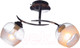 Миниатюра изображения товара Потолочный светильник Aitin-Pro НПБ 02-2x60-101 / 70162/2 (хром/черный)