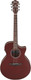 Миниатюра изображения товара Электроакустическая гитара Ibanez AE100-BUF (винный)