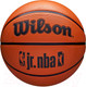 Миниатюра изображения товара Баскетбольный мяч Wilson JR. NBA DRV Fam Logo / WZ3013001XB6 (размер 6)