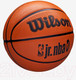 Миниатюра изображения товара Баскетбольный мяч Wilson JR. NBA DRV Fam Logo / WZ3013001XB6 (размер 6)