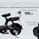 Миниатюра изображения товара Электроскутер DELTA Pro (черный)