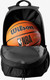 Миниатюра изображения товара Рюкзак спортивный Wilson Team Brooklyn Nets Backpack / WZ6015002 (черный)