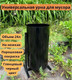 Миниатюра изображения товара Урна уличная Klesto Круглая 1292573 (черный)