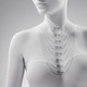 Миниатюра изображения товара Цепочка из розового золота ZORKA 512053Г.035.14K.R (50см)