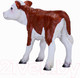 Миниатюра изображения товара Фигурка коллекционная Konik Херефордский теленок / AMF1125