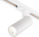 Миниатюра изображения товара Трековый светильник ESCADA 20002TRA/02LED SWH (белый матовый)