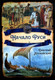 Миниатюра изображения товара Книга Родина Начало Руси / 9785001806943 (Иловайский Д.И.)