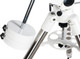 Миниатюра изображения товара Монтировка для телескопа Sky-Watcher EQ5 со стальной треногой / 68581