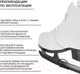 Миниатюра изображения товара Коньки фигурные Winter Star Узор / 10386669 (р.40)