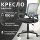 Миниатюра изображения товара Кресло офисное Mio Tesoro Виола 695 AF-C4021 (пластик, серый/черный)