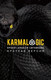 Миниатюра изображения товара Набор книг Рипол Классик Karmacoach. Karmalogic. Краткая версия, мягкая обложка (Ситников Алексей)