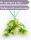Миниатюра изображения товара Искусственные цветы Merry Bear Home Decor Альпийский Цветок / EGB3121045 (зеленый)