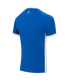 Миниатюра изображения товара Футболка игровая футбольная Jogel Division PerFormDRY Element Jersey (YS, синий)