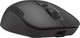Миниатюра изображения товара Мышь A4Tech Fstyler FG16CS Air2 (черный)