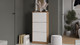 Миниатюра изображения товара Тумба для обуви ТриЯ Хилтон (дуб крафт золотой/белый матовый)