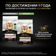 Миниатюра изображения товара Сухой корм для кошек Pro Plan Delicate Digestion для котят с индейкой (400г)