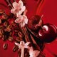 Миниатюра изображения товара Парфюмерная вода Yves Saint Laurent Black Opium Over Red (30мл)