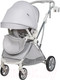 Миниатюра изображения товара Детская прогулочная коляска Farfello Fest Lux / FL-14 (светло-серый)