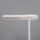 Миниатюра изображения товара Настольная лампа Risalux Ренди 10189407 (белый)