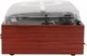 Миниатюра изображения товара Проигрыватель виниловых пластинок Alive Audio Quattro LP Wood / AA-QTR-01-WD