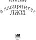 Миниатюра изображения товара Книга Like Book В лабиринтах лжи, твердая обложка (Миллер Рия)