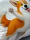 Миниатюра изображения товара Подушка декоративная MATEX Fluffy. Корги / 62-462 (молочный/лососевый)