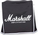 Миниатюра изображения товара Комбоусилитель Marshall MG10G