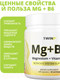 Миниатюра изображения товара Витаминно-минеральный комплекс 1WIN Магний и витамин В6 (240 капсул)