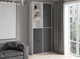 Миниатюра изображения товара Шкаф Интерлиния Skill-20 (3) (белый платинум/антрацит)