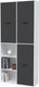 Миниатюра изображения товара Шкаф Интерлиния Skill-20 (3) (белый платинум/антрацит)